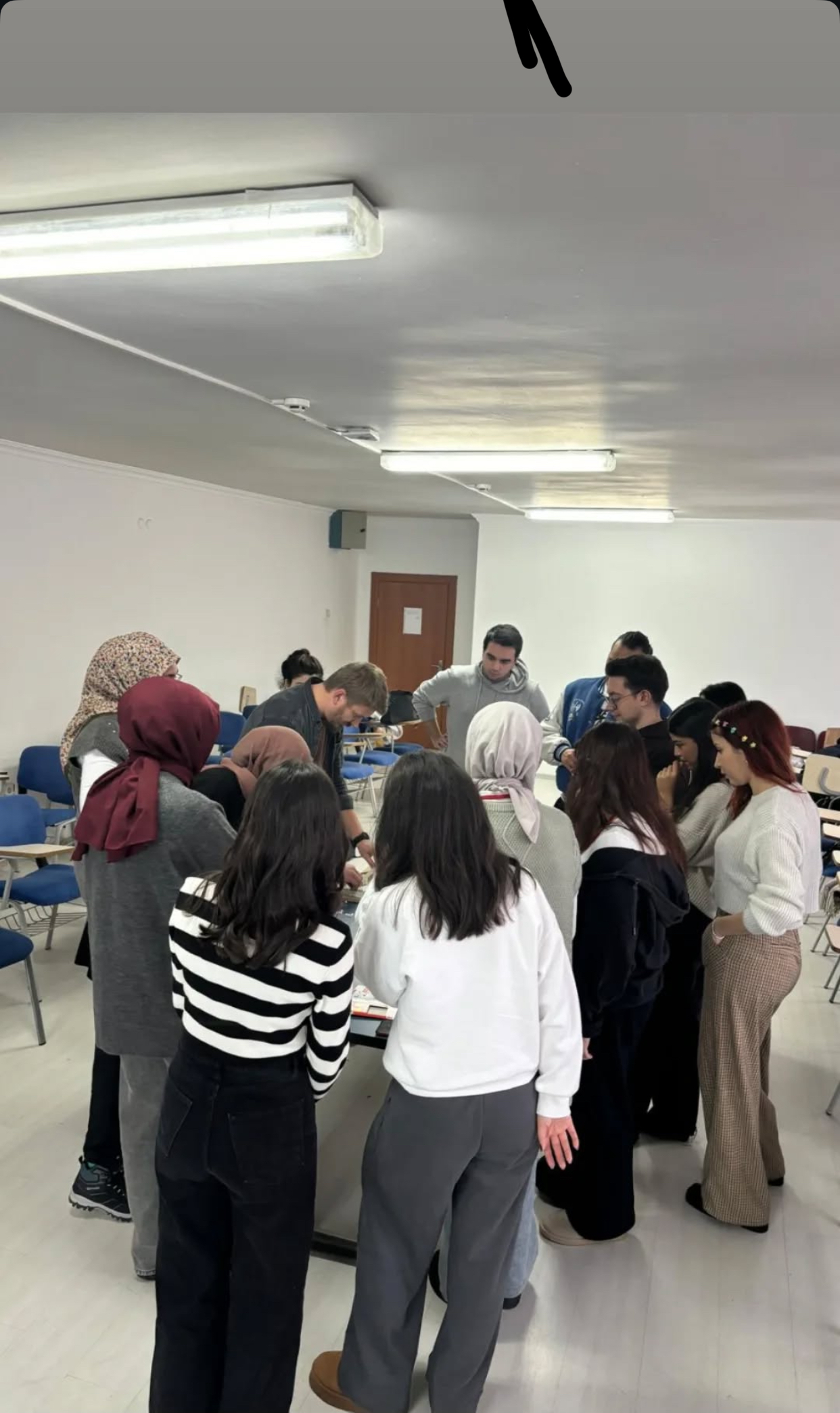 Galton Kutusu Etkinliği